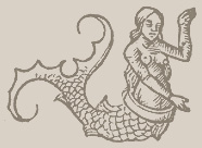 mermaid